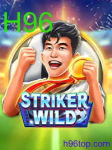 StrikerWILD